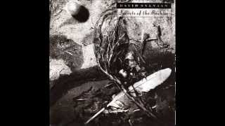 David Sylvian - Forbidden colours