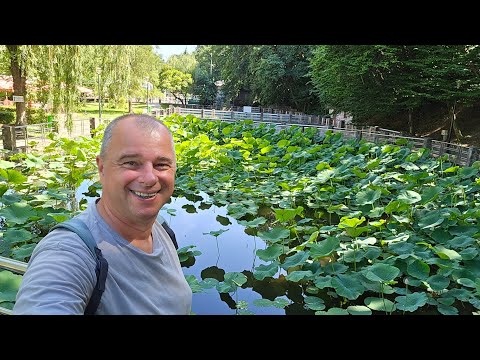 La pas prin Băile Felix - Cum arată stațiunea după renovare