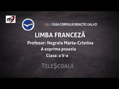 Limba Franceza - Clasa a 5-a -A exprima posesia