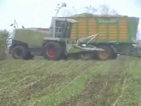 Verbeke: Mais hakselen.