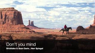 Bricklake &amp; Sean Darin , Herr Spiegel - Don&#39;t you mind