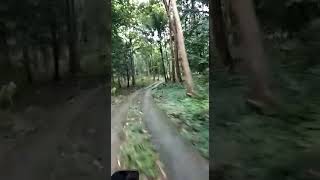 Download lagu Story WA lucu durasi pendek mp3