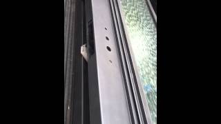 Iron door lock case by mulholland security.