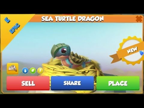 SEA TURTLE Dragon Hatching + Clan Quests For Days! - DML #678