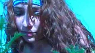 Pink Floyd - The Gold It&#39;s In The...