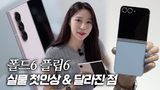 삼성전자 갤럭시Z 폴드6 256GB, 자급제 (자급제 공기계)_동영상_이미지