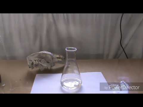 Dnb flow ((minimal instrumental)) feat dj nymphphlown