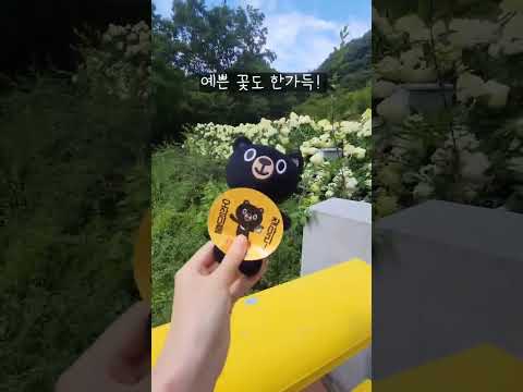 오삼이를 찾아라 - 물소리생태숲 편 4 -