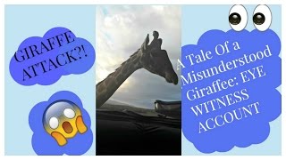 GIRAFFE ATTACK?! |A TALE OF A MISUNDERSTOOD GIRAFFE...|