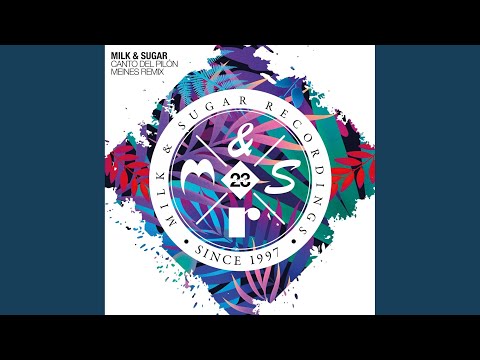 Canto del Pilón (Meines Extended Remix)