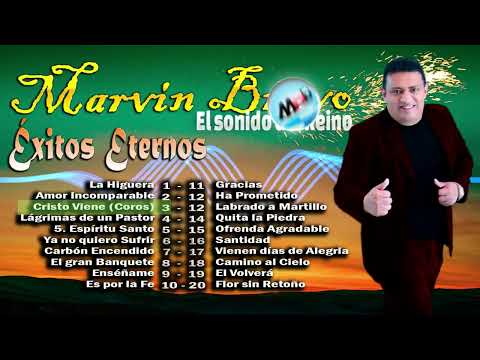 MARVIN BRAVO - ÉXITOS ETERNOS