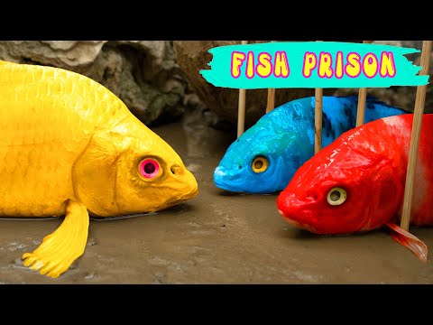 Cá Koi Đỏ Vượt Ngục Chiến Đấu Với Koi Vàng Canh Gác - Nấu Ăn Thử Nghiệm Dừng Chuyển Động ASMR | CoCo