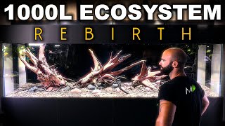 1000L ECOSYSTEM REBIRTH: An Aquarium Born Again