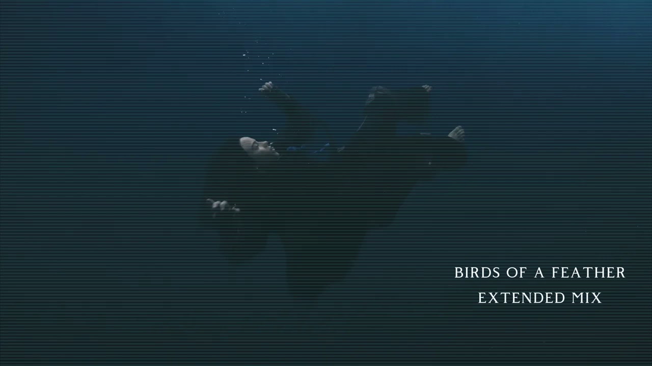 BILLIE EILISH - BIRDS OF A FEATHER (EXTENDED MIX)