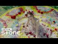 청하 (CHUNG HA) - 'PLAY (Feat. 창모 (CHANGMO))' M/V 청하 (CHUNG HA) - 'PLAY (Feat. 창모 (CHANGMO))' M/V