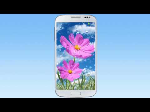 Summer Rain, Flowers, HD LWP Video