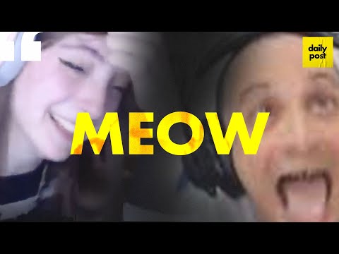 DILERA FALA MEOW PRA GRINGA STREAMER COM TOURETTE