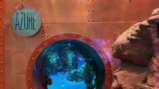A look at the Silverton aquarium! #lasvegas #nevada