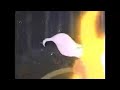 The Little Mermaid VHS Commercial