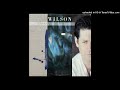 Brian Wilson - Walkin' The Line - Vinyl Rip