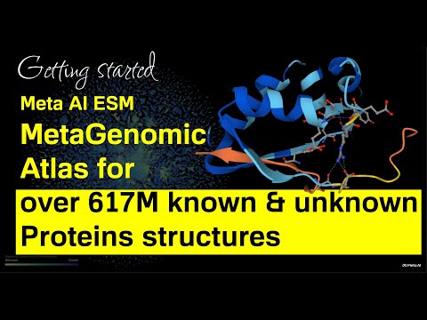 Getting Started with ESM Metagenomic Atlas with API & large language Models (LLM)