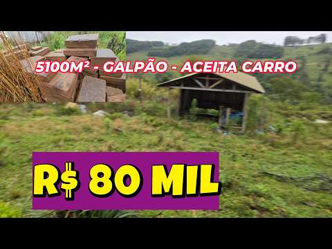 Vídeo