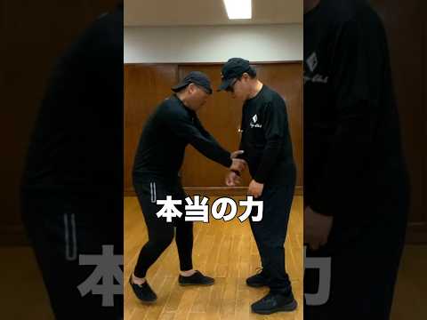 腕力は要りません　#武術 #太極拳  #護身術   #50代 60代  #転倒防止  #体幹