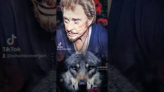 J'ai peur, je t'aime Johnny Hallyday ❤️