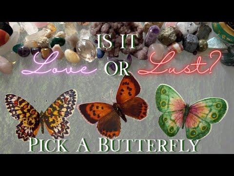 Is It LOVE or LUST? 💞❤️‍🔥 Let's Find Out ➡️ A Pick A Group Tarot Reading Delivered With Compassion 💓