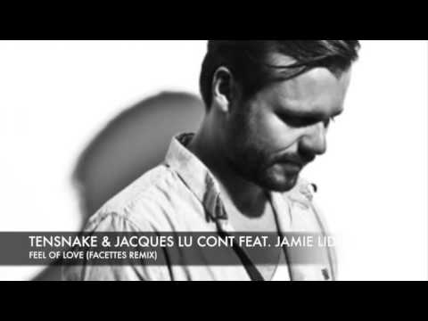 Tensnake & Jacques Lu Cont feat. Jamie Lidell - Feel Of Love (facettes remix)