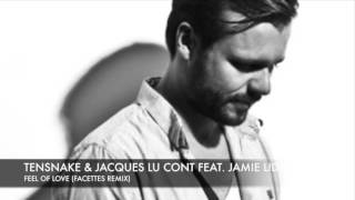 Tensnake &amp; Jacques Lu Cont feat. Jamie Lidell - Feel Of Love (facettes remix)