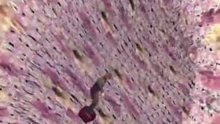 The Tear Garden - Have A Nice Trip