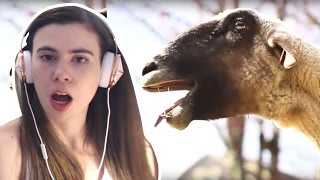 REACTING TO GOATS SCREAMING LIKE HUMANS!!!