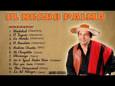 NEGRO PALMA MIX || solo éxitos 🎻