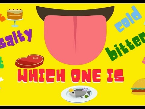 Which one? Food quiz! Sense of taste!