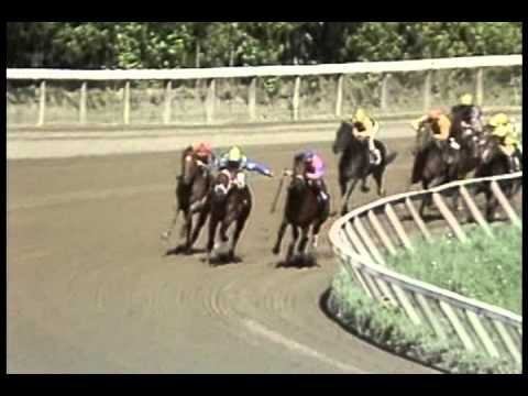 Easy Goer - 1988 Saratoga Maiden Race