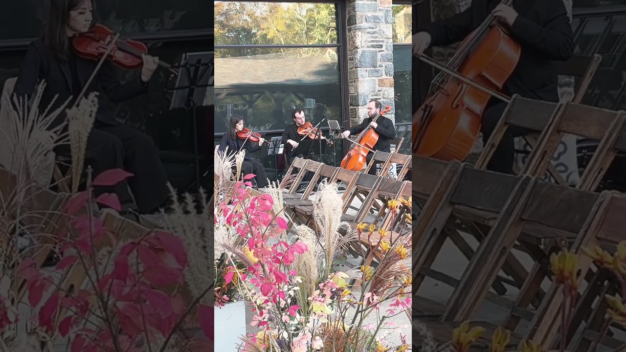 Promotional video thumbnail 3 for Juilliard Violinist
