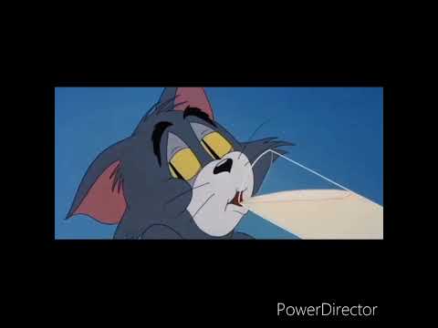 StronTelo - Πουλι (Music Video)