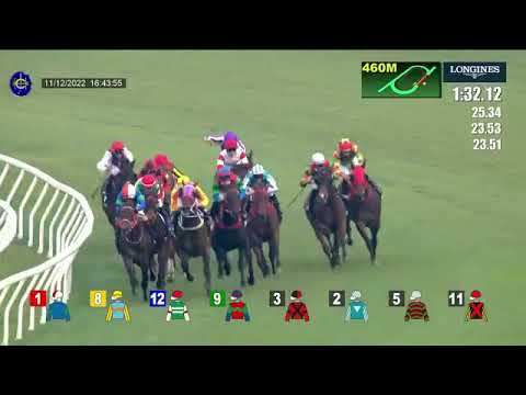 2022 HKJC SHA TIN Hong Kong Cup