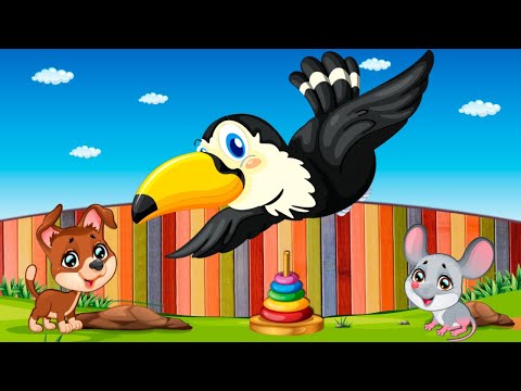 Logic games for kids Video