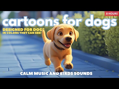 Bluey: Anti Anxiety TV for Dogs to watch! 8-Hour of Cartoons for Dogs in Colors they can see