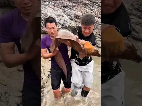 umpan satu kambing untuk mendapatkan ikan