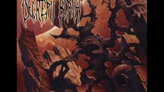 Decrepit Birth - 10 Essence of Creation