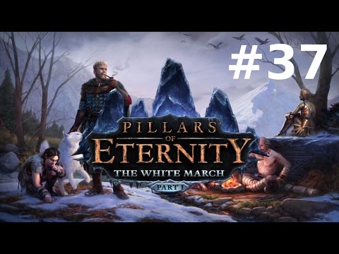 Pillars of Eternity #37 - The White March : Stream du 29 août