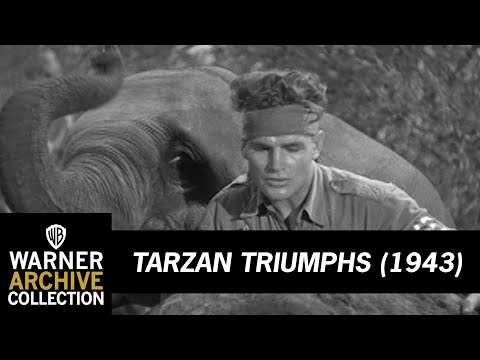 Cheeta and Elephant Kill Nazi | Tarzan Triumphs | Warner Archive