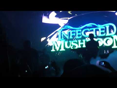 [110624]Infected Mushroom in Korea - Heavyweight + I Wish (1/2) LIVE