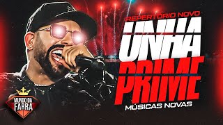 UNHA PINTADA 2025 - MÚSICAS NOVAS - UNHA PRIME - REPERTÓRIO NOVO - DEZEMBRO - 100% ATUALIZADO