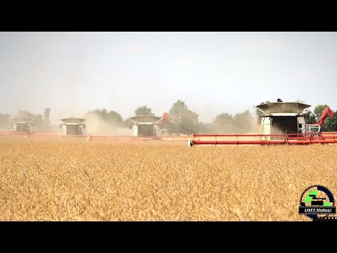 4 Claas Lexion 780 TT Mähdrescher und 2 John Deere 8520 mit Annaburger Überladewagen