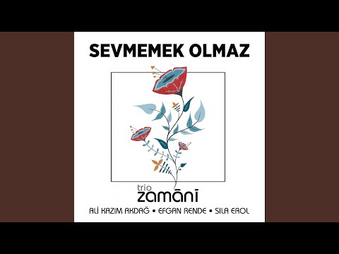 Sevmemek Olmaz (Qızlar Mahnısı)