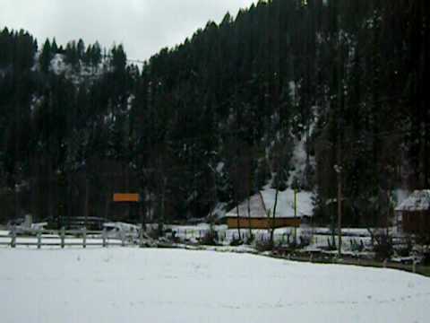 Pensiunea Poiana Verde, Albac